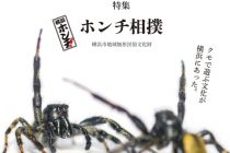 Vol.37アイキャッチ