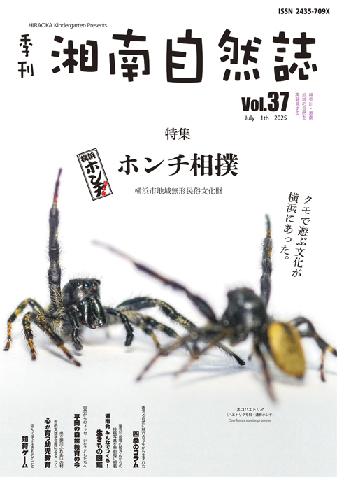 Vol.37アイキャッチ