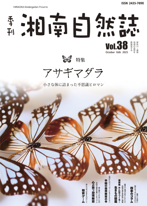 Vol.38アイキャッチ