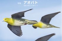 湘南自然誌Vol.39アイキャッチ