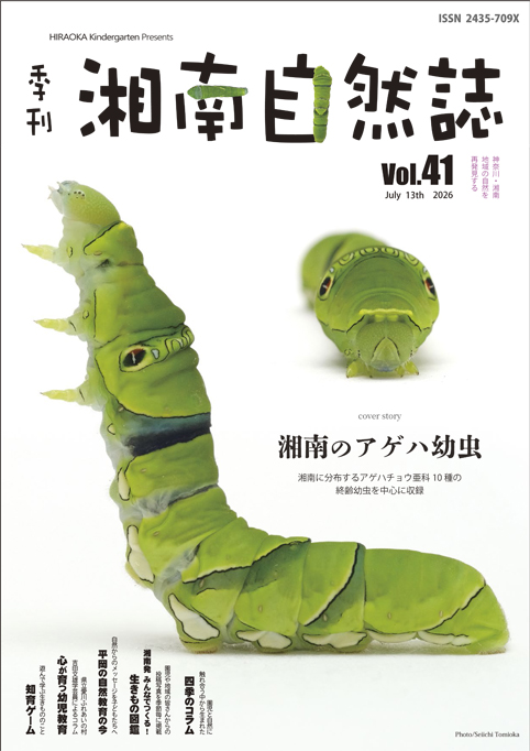 Vol.41表紙アイキャッチ