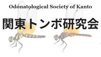リンク集